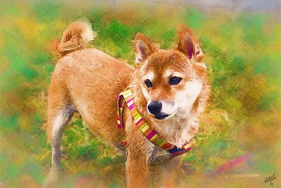 はなちゃん ポーズだよ 〜