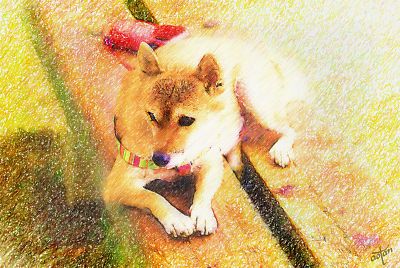 おとうさんは イヤダ 〜