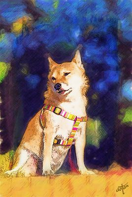 しつこいなぁ 〜 おとうさん