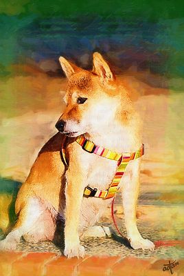 よそ見 したら あかんやんか