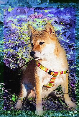 はなちゃんの 芸者ポーズ v(^o^)v 決まり