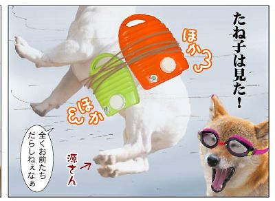 出ましたぁ 〜 「 たね子は 見た ! 」