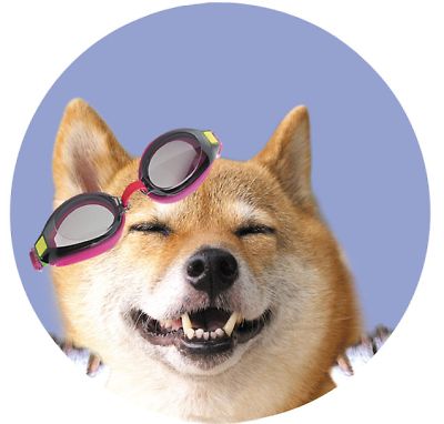 ヤッタ 〜 ポーズ