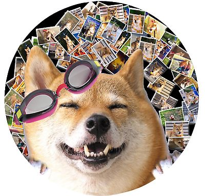 おとうさん イジメ 成功 v(^o^)v
