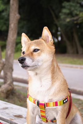 何 よそ見 してるんやぁ 〜