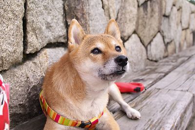 もう一つ おくれ 〜 よ