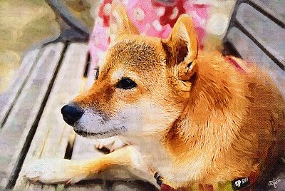かなり 本気やん ・・・