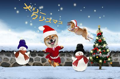 はなちゃんのクリスマス