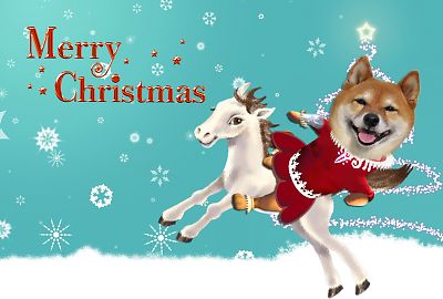 はなちゃんのクリスマスカード2