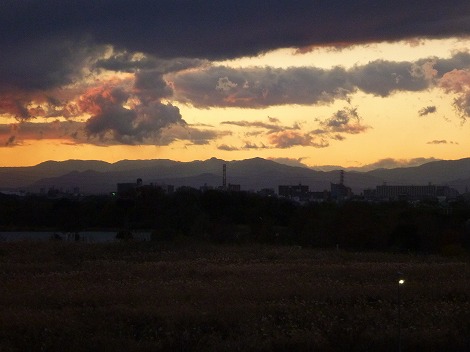 P1020559.jpg