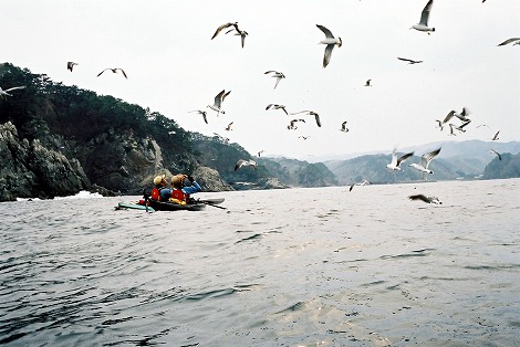 N026.jpg
