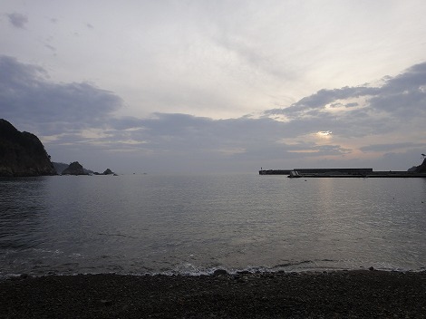 DSC03511.jpg