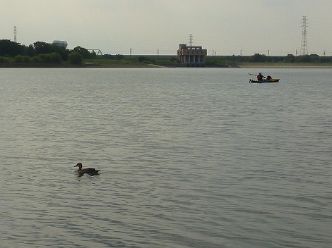 P1030120.jpg