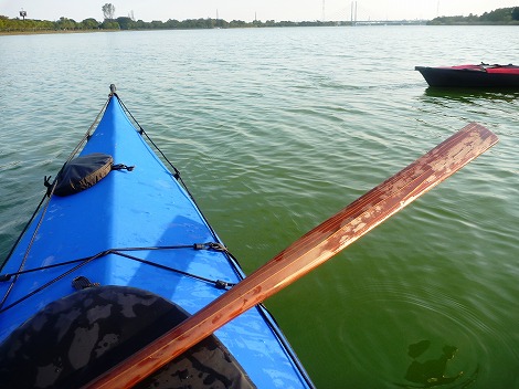 P1030456.jpg