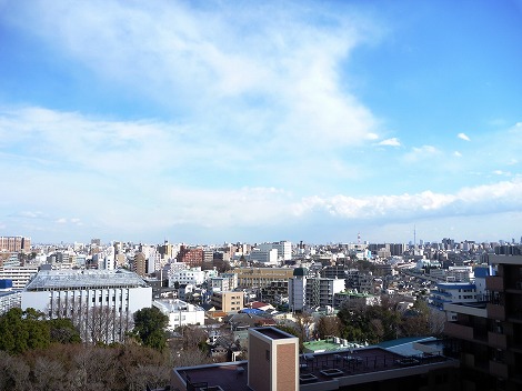 P1030653.jpg