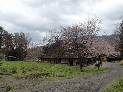 P5040427.jpg