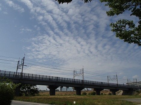 P6021133.jpg