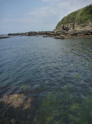 P1030944.jpg