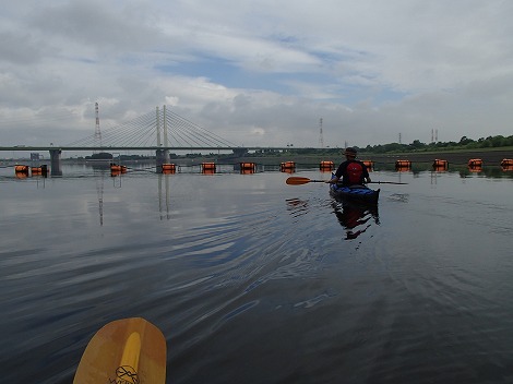 P6141190.jpg
