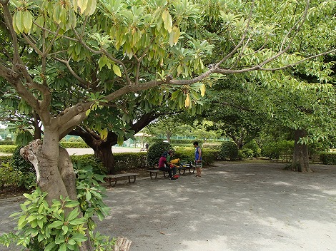 P7201450.jpg