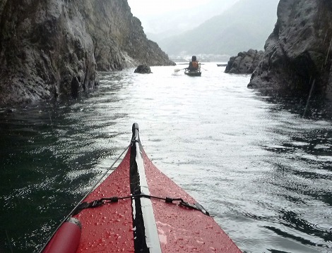 P1040569_2.jpg