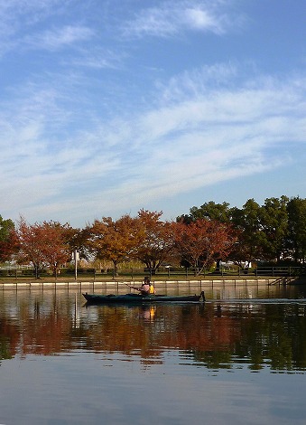 P1040645.jpg