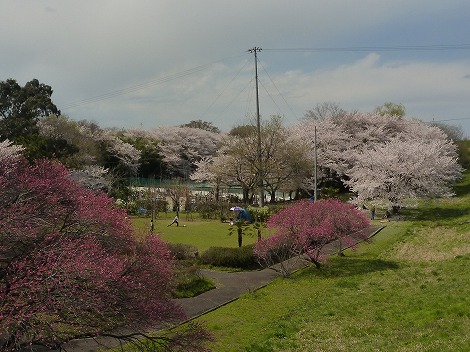 P1040764.jpg