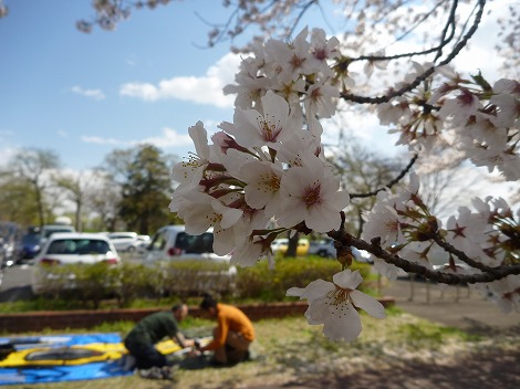 P1040770.jpg