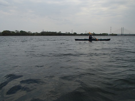 P4192454.jpg