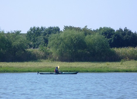 P1050075.jpg