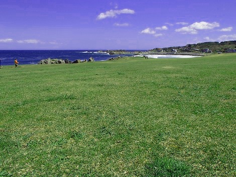 20160512_1681628.jpg