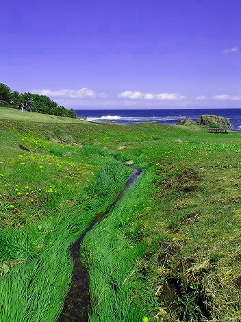 20160512_1681633.jpg