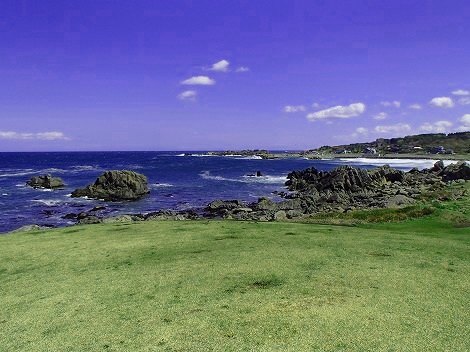20160512_1681634.jpg