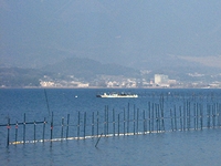 琵琶湖