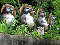 信楽焼の狸