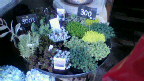2013040519350000.jpg