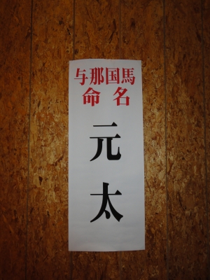 命名元太