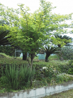 F1000326.jpg