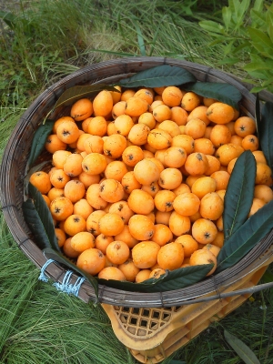 F1000335.jpg