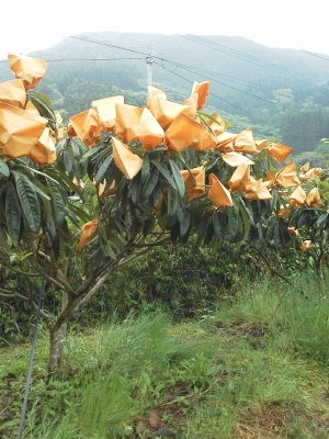 F1000328.jpg