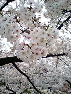 20070503_344359.jpg