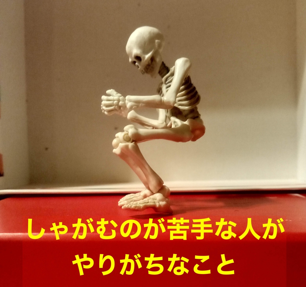 syagamu 
