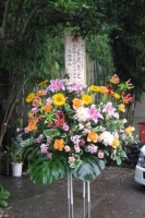 三波伸介一門会2009/6/28 花