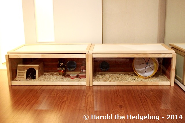 迎えて29日目 改築工事後のハリネズミのケージ Harold The Hedgehog