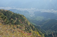 mitsutouge