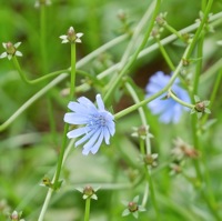 yoroizukafarm