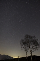 stars