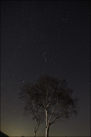 stars