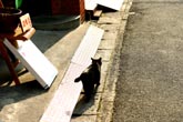 くろ5