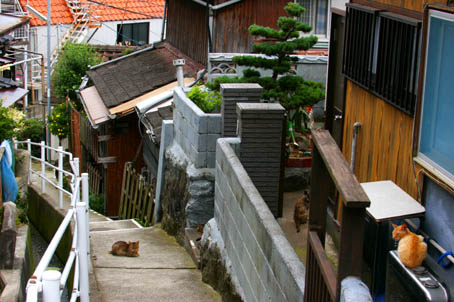 ねこ